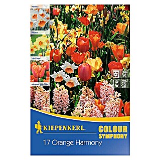 Kiepenkerl Frühlingsblumenzwiebel-Mix (17 Stk.)