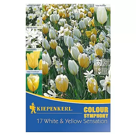 Kiepenkerl  Frühlingsblumenzwiebeln