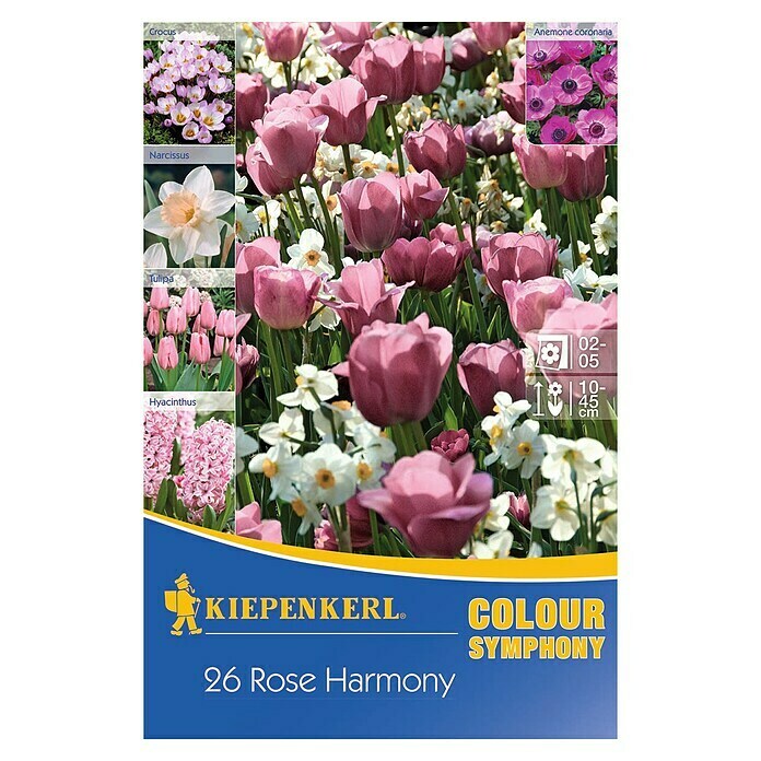 KIEPENKERL miscela per fiori «Colour Symphony Rose Harmony»