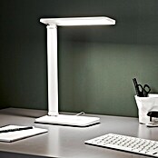 LED-Tischleuchte Seamont (9 W, L x B x H: 31 x 12 x 37,4 cm, Weiß) | BAUHAUS