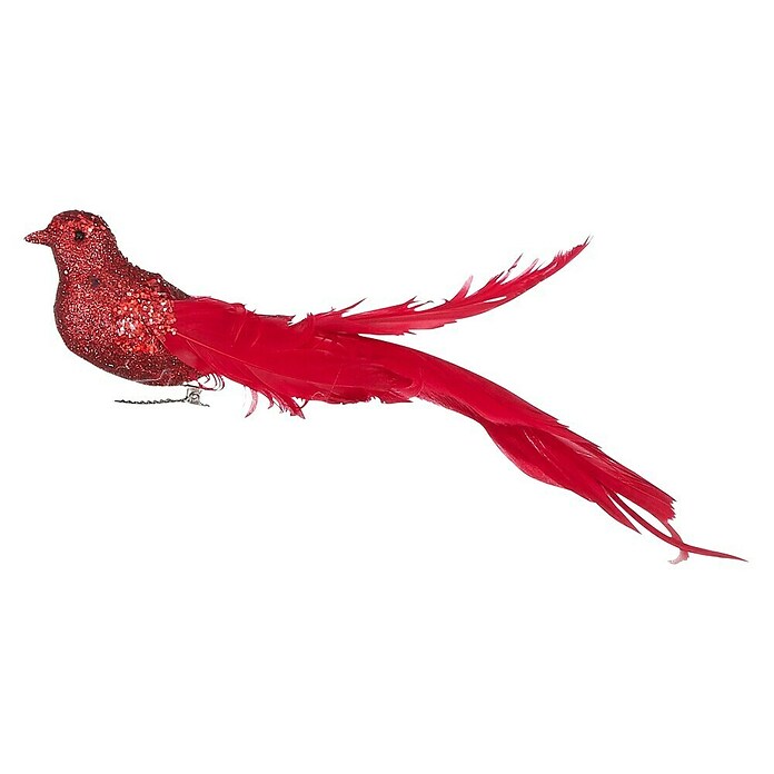 Uccello rosso con clip