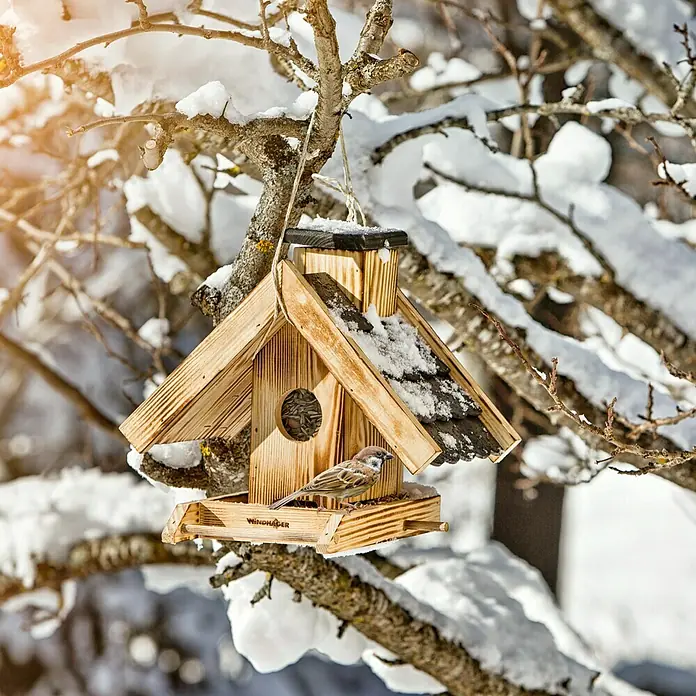 Windhager Vogelfutterhaus - L x B x H: 21 x 30 x 25 cm, Natur/Schwarz, Geflammt, Holz - Ein hölzernes Vogelhaus hängt an einem schneebedeckten Baum, mit einem kleinen Vogel, der darauf sitzt.