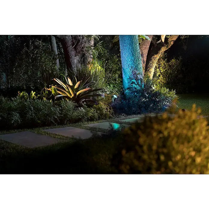 Philips Hue LED-Gartenspot Lily - Höhe: 19 cm - Nachtaufnahme eines Gartens mit Akzentbeleuchtung, die einen Weg, Pflanzen und Bäume hervorhebt. Die Gartenleuchten erzeugen eine stimmungsvolle Atmosphäre.