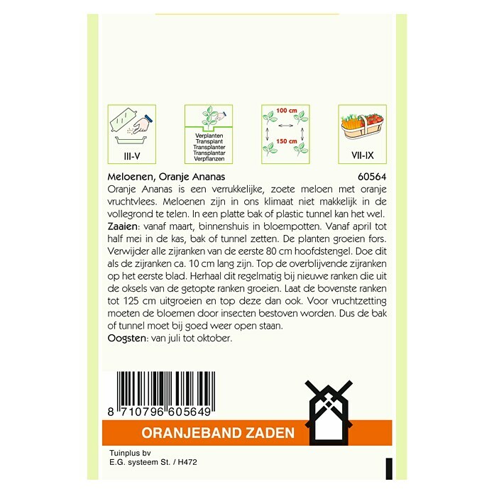 Oranjeband Groentezaden Meloenen Oranje Ananas (Oogsttijd: Juli) | BAUHAUS