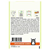 Oranjeband Groentezaden Meloenen Oranje Ananas (Oogsttijd: Juli) | BAUHAUS