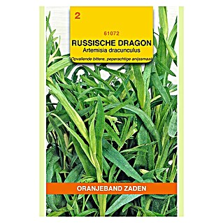 Oranjeband Kruidenzaad Russische Dragon (Artemisia dracunculus, Zaaitijd: Maart, Oogsttijd: Augustus)