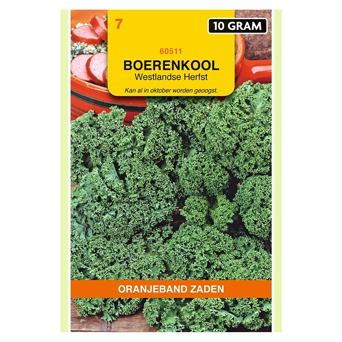 Oranjeband Groentezaden Boerenkool Westlandse Herfst (Brassica oleracea, Zaaitijd: Januari, Oogsttijd: Oktober, 10 g) | BAUHAUS
