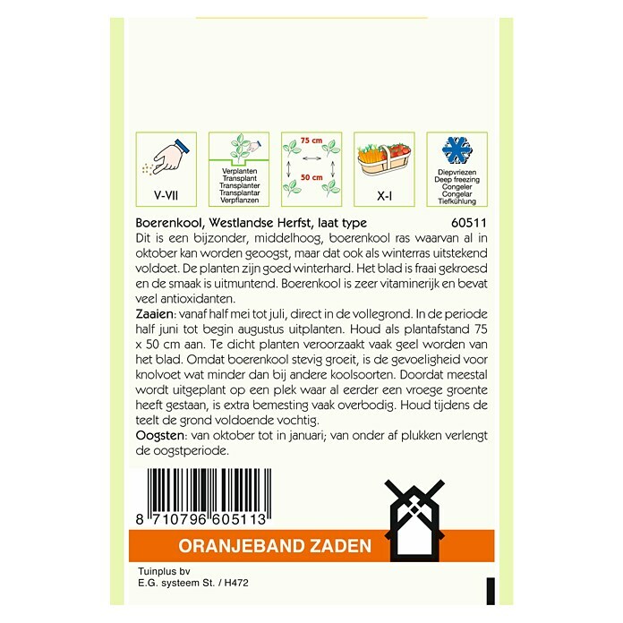 Oranjeband Groentezaden Boerenkool Westlandse Herfst (Brassica oleracea, Zaaitijd: Januari, Oogsttijd: Oktober, 10 g) | BAUHAUS
