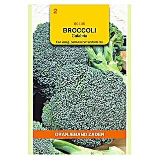 Oranjeband Groentezaden Broccolie Calabria (Brassica oleracea, Zaaitijd: Februari, Oogsttijd: Juni, 1 g)