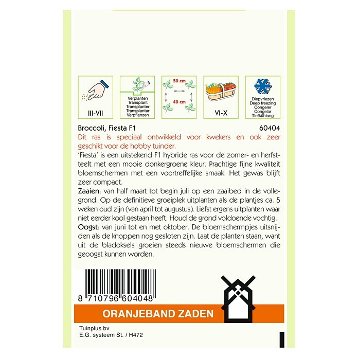 Oranjeband Groentezaden Broccolie Fiesta F1 (Brassica oleracea, Zaaitijd: Maart, Oogsttijd: Juni) | BAUHAUS