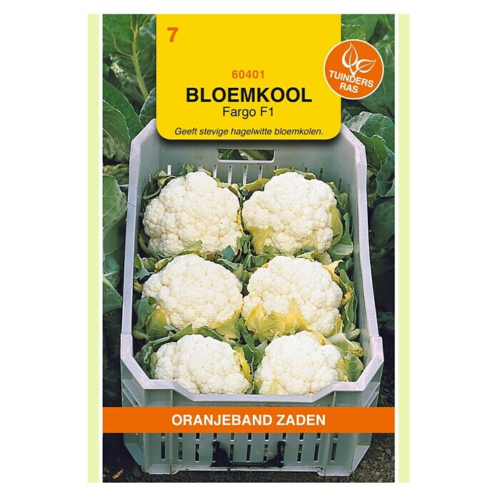 Oranjeband Groentezaden Bloemkool Fargo F1 (Brassica oleracea, Zaaitijd: Maart, Oogsttijd: Juli) | BAUHAUS