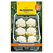 Oranjeband Groentezaden Bloemkool Fargo F1 (Brassica oleracea, Zaaitijd: Maart, Oogsttijd: Juli) | BAUHAUS