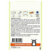 Oranjeband Groentezaden Andijvie St. Laurent (Oogsttijd: Mei) | BAUHAUS