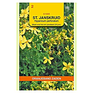 Oranjeband Kruidenzaad St. Janskruid (Hypericum perforatum, Zaaitijd: April, Oogsttijd: Augustus)