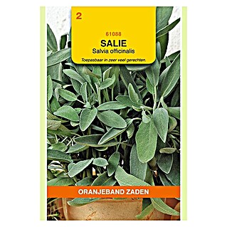 Oranjeband Kruidenzaad Salie (Salvia officinalis, Zaaitijd: Maart, Oogsttijd: Juli, 1 g)