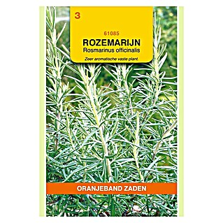 Oranjeband Kruidenzaad Rozemarijn (Rosmarinus officinalis, Zaaitijd: Maart, Oogsttijd: Juni, 0,15 g)