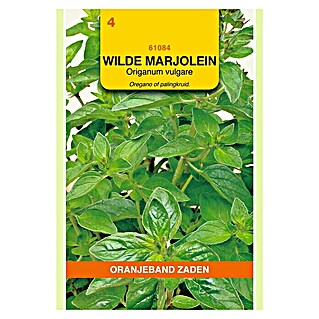 Oranjeband Kruidenzaad Oregano Wilde Marjolein (Origanum vulgare, Zaaitijd: Maart, Oogsttijd: Juni)