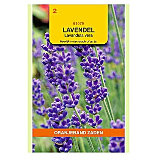 Oranjeband Bloemzaden Lavendel (Lavandula vera, Zaaitijd: April - Juni, Oogsttijd: Juli - September, 0,75 g)