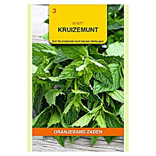 Oranjeband Kruidenzaad Kruizemunt (Mentha spicata, Zaaitijd: Maart - Juni, Oogsttijd: Mei - Oktober, 0,1 g)