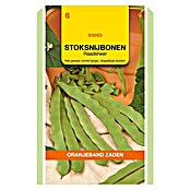 Oranjeband Groentezaden Stoksnijbonen Raadsheer (Oogsttijd: Augustus) | BAUHAUS
