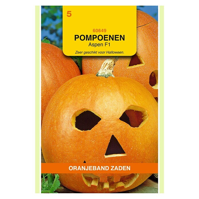 Oranjeband Groentezaden Pompoenen Aspen F1 (Oogsttijd: September) | BAUHAUS