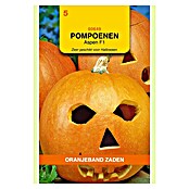 Oranjeband Groentezaden Pompoenen Aspen F1 (Oogsttijd: September) | BAUHAUS