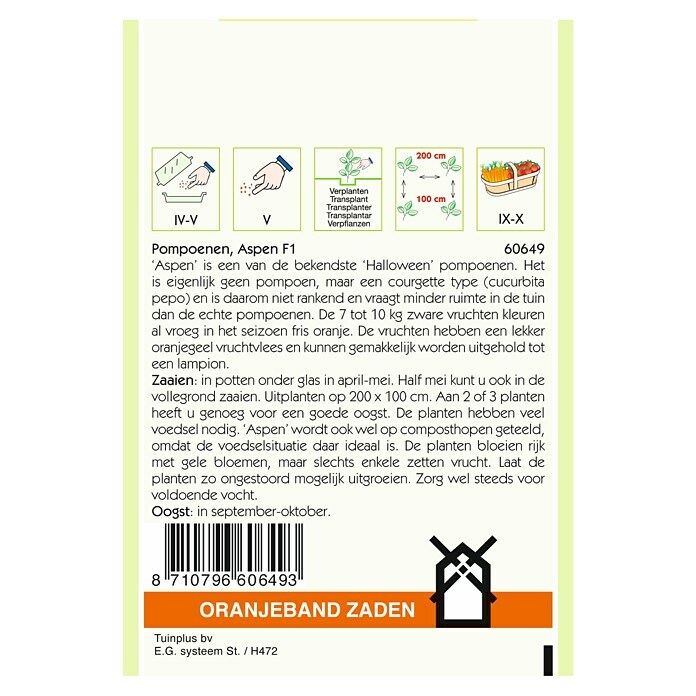 Oranjeband Groentezaden Pompoenen Aspen F1 (Oogsttijd: September) | BAUHAUS