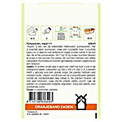 Oranjeband Groentezaden Pompoenen Aspen F1 (Oogsttijd: September) | BAUHAUS