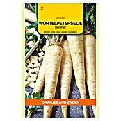 Oranjeband Groentezaden Wortelpeterselie Berliner (Oogsttijd: Augustus) | BAUHAUS