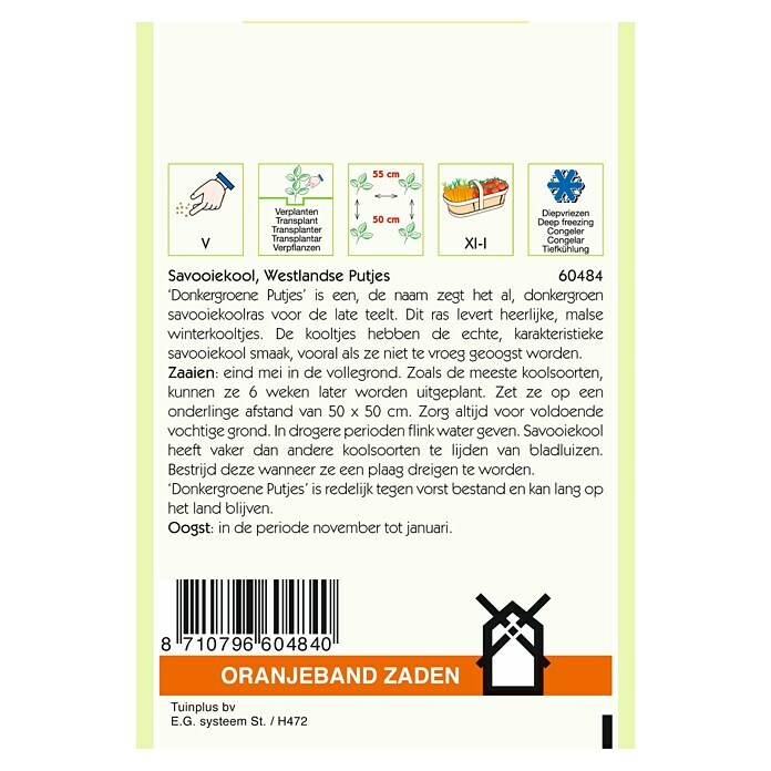 Oranjeband Groentezaden Savooiekool Westlandse Putjes (Oogsttijd: November) | BAUHAUS