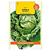 Oranjeband Groentezaden IJssla Barcelona (Lactuca sativa, Zaaitijd: Februari, Oogsttijd: April, 0,3 g) | BAUHAUS