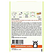 Oranjeband Groentezaden IJssla Barcelona (Lactuca sativa, Zaaitijd: Februari, Oogsttijd: April, 0,3 g) | BAUHAUS