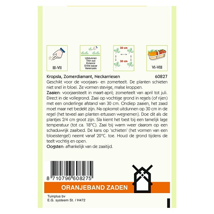 Oranjeband Groentezaden Kropsla Zomerdiamant (Oogsttijd: Mei) | BAUHAUS