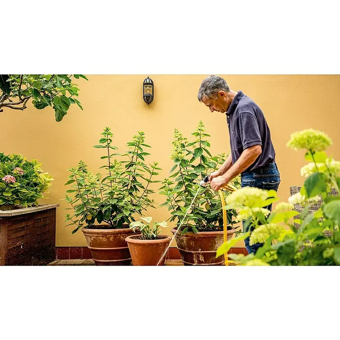 Bosch Power for All 18V Akku-Regenfasspumpe GardenPump 18V-2000 - 18 V, Ohne Akku, Max. Fördermenge: 2.000 l/h - Ein Mann gießt Pflanzen in Töpfen im Garten mit einem gelben Schlauch, wobei das üppige Grün und die sonnige Wand betont werden.