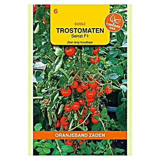 Oranjeband Groentezaden Trostomaat Serrat F1 (Solanum lycopersicum, Zaaitijd: Februari, Oogsttijd: Juli, 0,15 g)