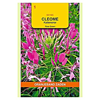 Oranjeband Wilde bloemenzaden Cleome Kattensnor (Cleome hassleriana, Zaaitijd: Maart, Bloeitijd: Juli, 0,75 g)