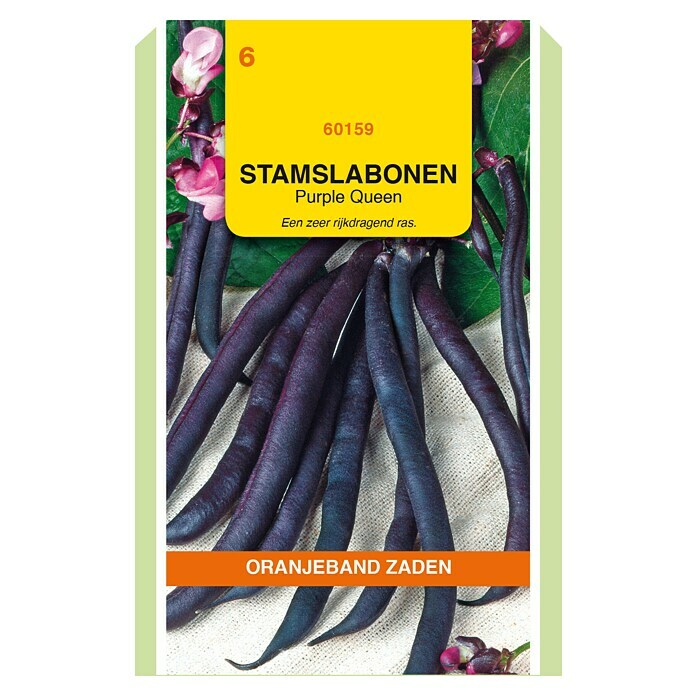 Oranjeband Groentezaden Stamslabonen Purple Queen (Oogsttijd: Juli) | BAUHAUS
