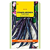 Oranjeband Groentezaden Stamslabonen Purple Queen (Oogsttijd: Juli) | BAUHAUS