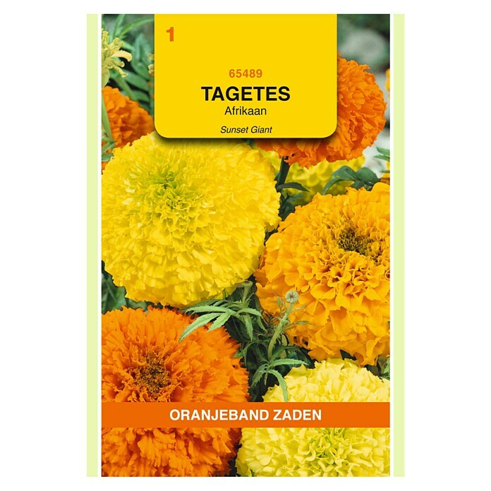 Oranjeband Bloemzaden (TAGETES SUNSET GIANTS GEMENGD) | BAUHAUS