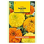 Oranjeband Bloemzaden (TAGETES SUNSET GIANTS GEMENGD) | BAUHAUS