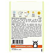 Oranjeband Bloemzaden (TAGETES SUNSET GIANTS GEMENGD) | BAUHAUS