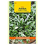Oranjeband Groentezaden Rucola Dragons Tongue (Diplotaxis tenuifolia, Zaaitijd: April, Oogsttijd: Mei, 0,15 g) | BAUHAUS