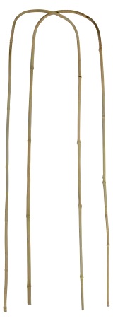 Floraworld Rankhilfe Bambus - 2 Stk., 23 x 90 cm, Holz online kaufen bei  BAUHAUS