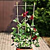 Floraworld Pflanzgitter (43,5 x 110 cm, Holz) | BAUHAUS