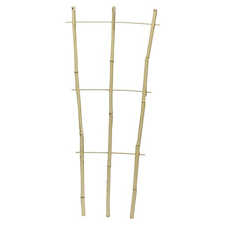 Floraworld Rankhilfe Bambus - 32 x 75 cm, Holz, Natur online kaufen bei  BAUHAUS