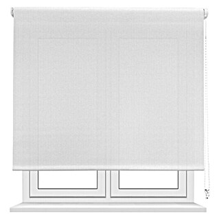 Estor enrollable screen 1% (An x Al: 120 x 250 cm, Blanco perla)