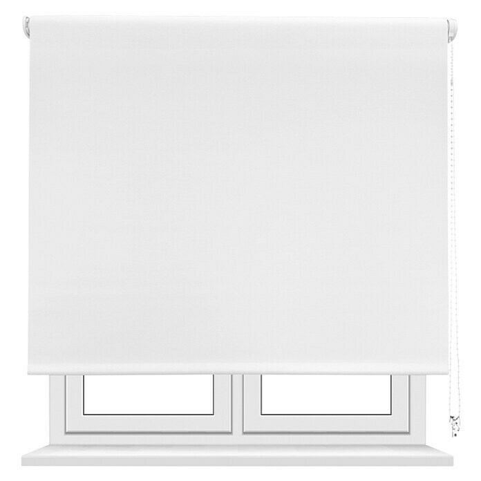 Estor enrollable opaco Liso (An x Al: 90 x 250 cm, Blanco)