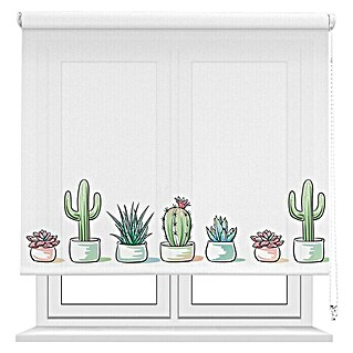 Estor enrollable Cactus (An x Al: 105 x 190 cm, Blanco)