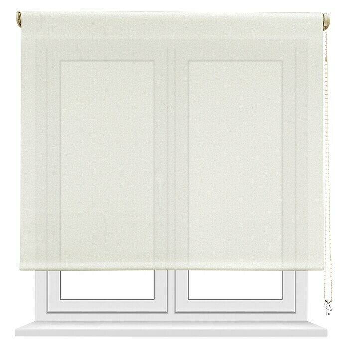 Estor enrollable screen 1% (An x Al: 90 x 250 cm, Blanco lino)
