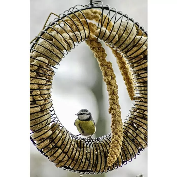 Riesenfutterring - Metall, Pulverbeschichtet, Schwarz - Anwendungsbeispiel
